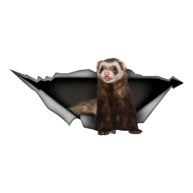 DK506# Car Stickers for Ferret Hidden in Holes, Waterproof Irregularly Shaped Car Decoration Decals
DK506# Car Stickers for Ferret Hidden in Holes, Waterproof Irregularly Shaped Car Decoration Decals