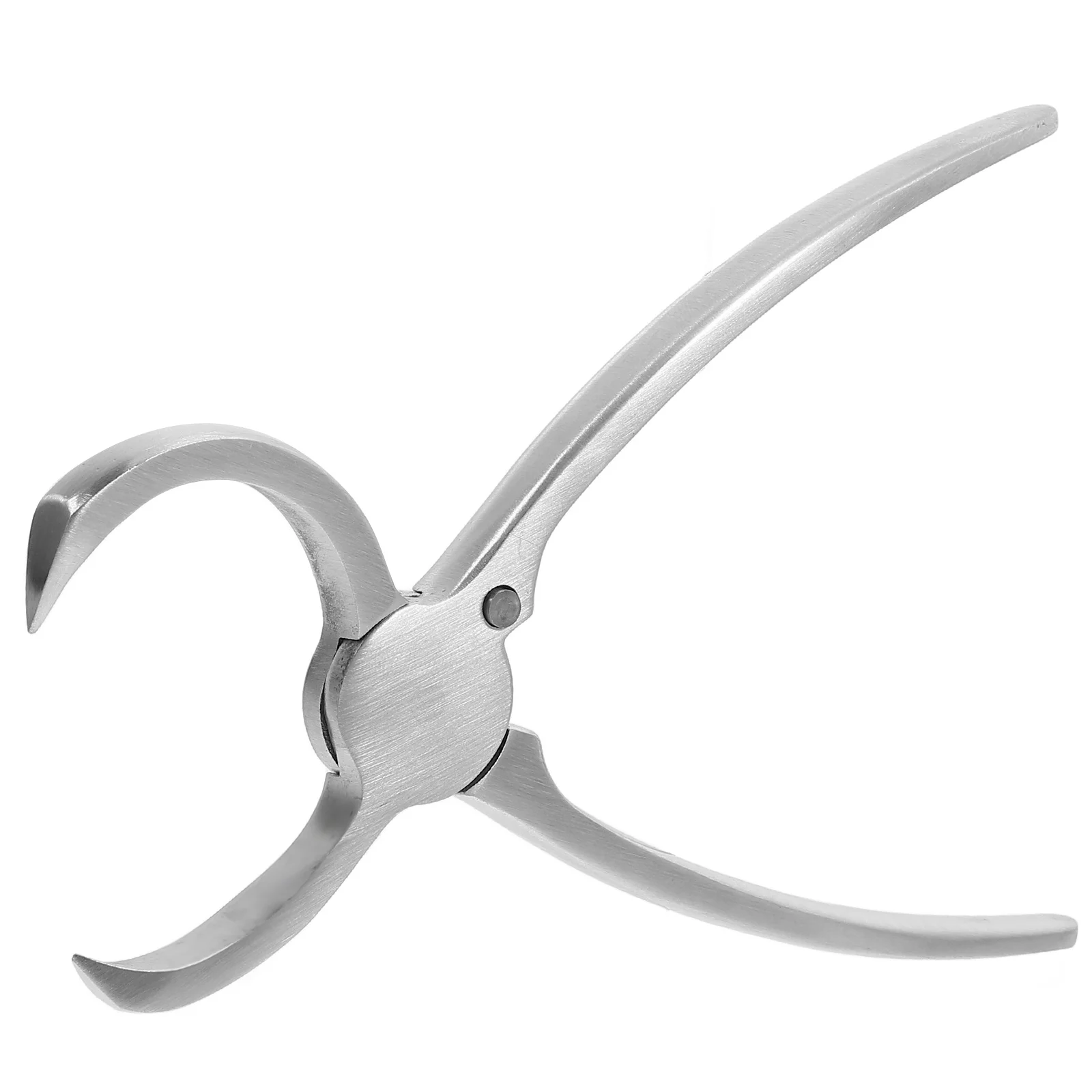 Stainless Steel Tea Pliers Stainless Steel Tea Tong Tea Brick Stainless Steel Tea Brick Tong Stainless Steel tea Brick Pl
Stainless Steel Tea Pliers Stainless Steel Tea Tong Tea Brick Stainless Steel Tea Brick Tong Stainless Steel tea Brick Pl