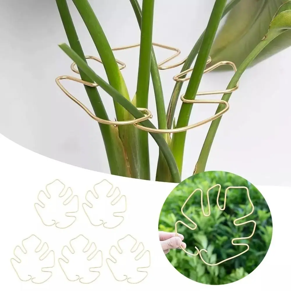 Gold Plant Fixing Bracket Reusable Stabilizers Turtle Shell Bamboo Clamp Easy To Use Plant Stem Support Holder Garden Stabilizer
Gold Plant Fixing Bracket Reusable Stabilizers Turtle Shell Bamboo Clamp Easy To Use Plant Stem Support Holder Garden Stabilizer