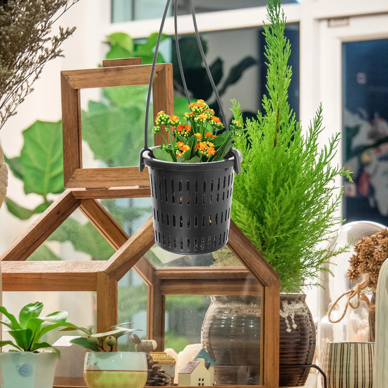 1 set Hanging Flowerpot Root Control Orchid Pot Wall Hanging Planter Plastic Decorative Plant Pots for Indoor Orchids for Home
1 set Hanging Flowerpot Root Control Orchid Pot Wall Hanging Planter Plastic Decorative Plant Pots for Indoor Orchids for Home