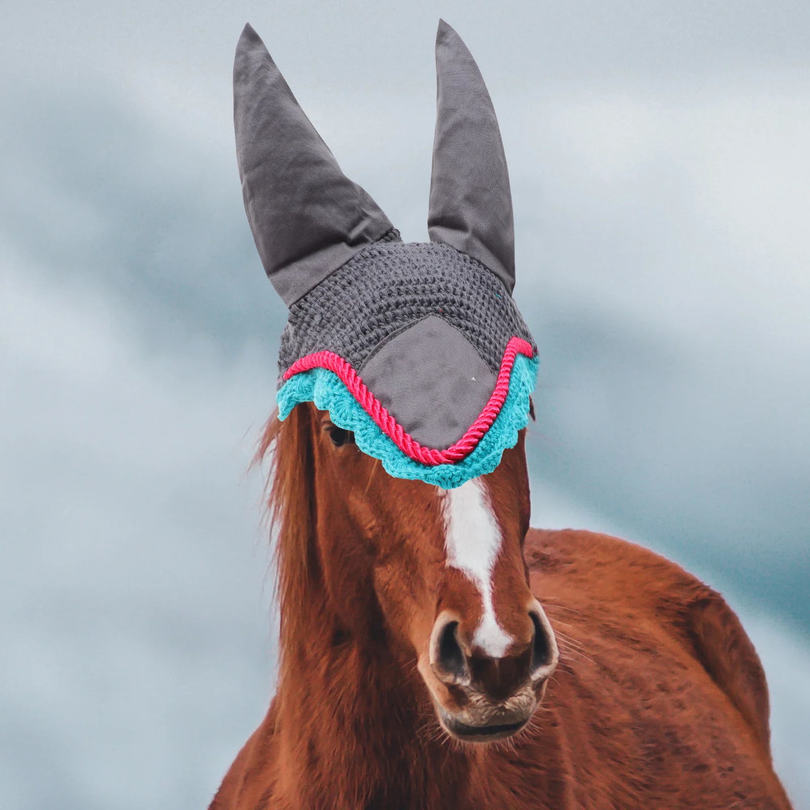 Horse Mask Knitted Comfortable Elastic Warm Breathable Protective Ear Bonnet Horse Head Cover Outdoor Ear Protector
Horse Mask Knitted Comfortable Elastic Warm Breathable Protective Ear Bonnet Horse Head Cover Outdoor Ear Protector