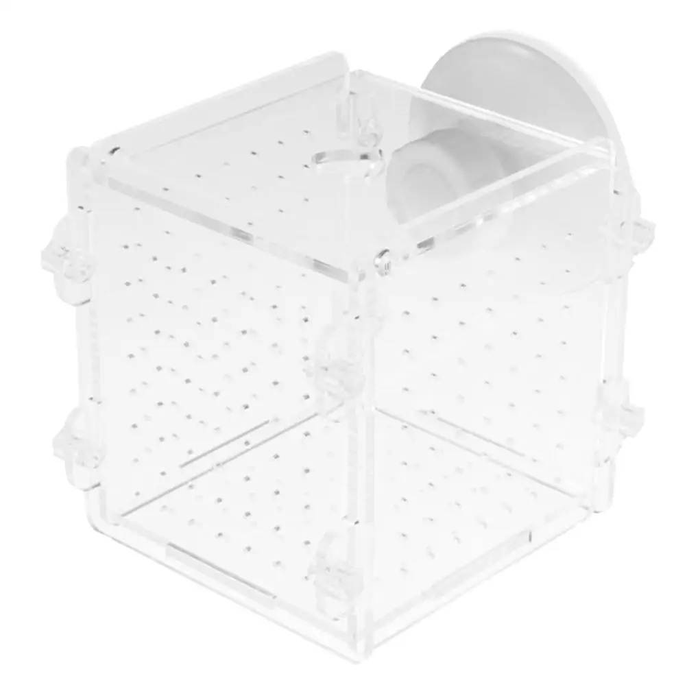 Fish Fry Isolation Box Acrylic Aquarium Breeder Case Durable 360 Degree View Small Tank Container Fish Breeding Box Pet Supplies
Fish Fry Isolation Box Acrylic Aquarium Breeder Case Durable 360 Degree View Small Tank Container Fish Breeding Box Pet Supplies