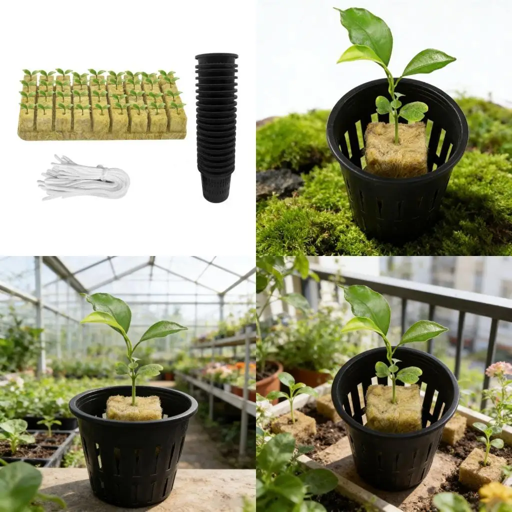 Advanced Hydroponic Growing for Various Plant in Greenhouses D2RD
Advanced Hydroponic Growing for Various Plant in Greenhouses D2RD