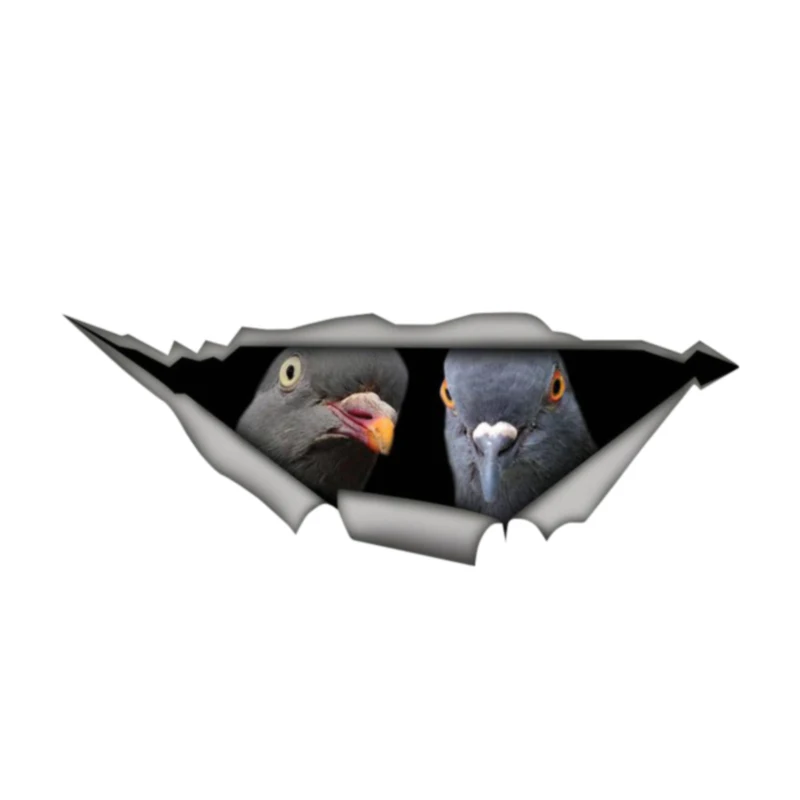 V6# Car Sticker Pigeon Waterproof Vinyl Decal Car Accessories Pegatinas Para Coche DIY Car Styling
V6# Car Sticker Pigeon Waterproof Vinyl Decal Car Accessories Pegatinas Para Coche DIY Car Styling