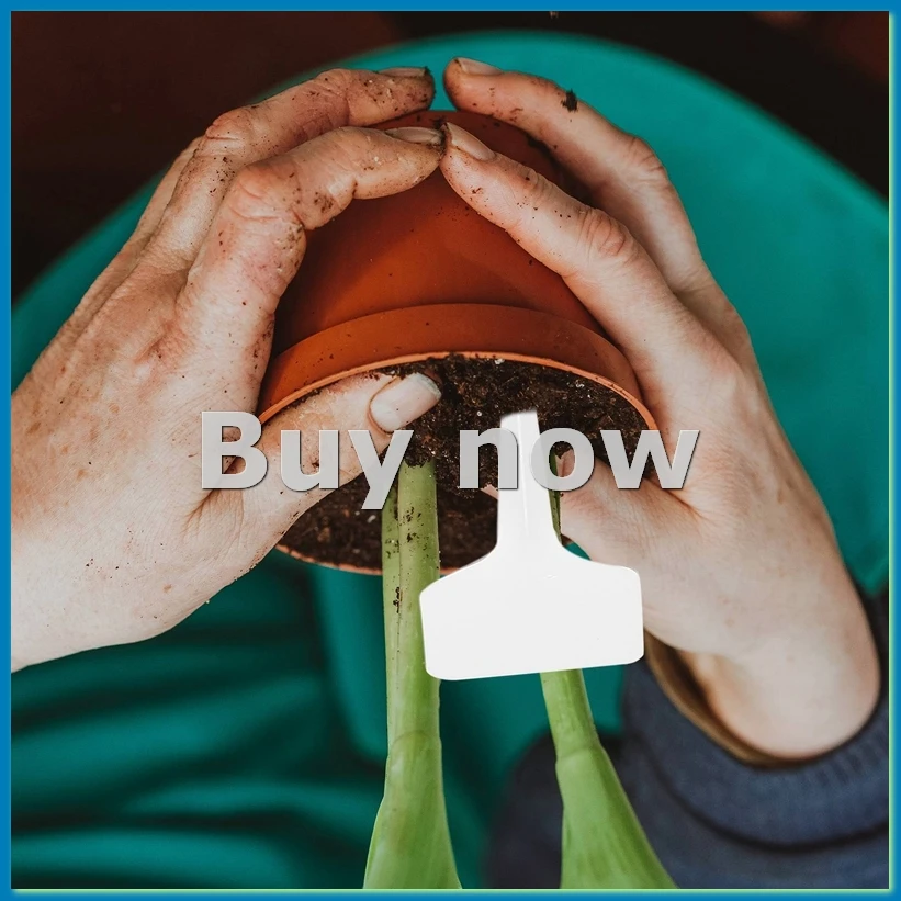 100 шт. садовые этикетки, классификация садовых растений, сортировочный знак, бирка, пластиковая тарелка для письма, доска, вилка для карты, белый-A51M
100 шт. садовые этикетки, классификация садовых растений, сортировочный знак, бирка, пластиковая тарелка для письма, доска, вилка для карты, белый-A51M