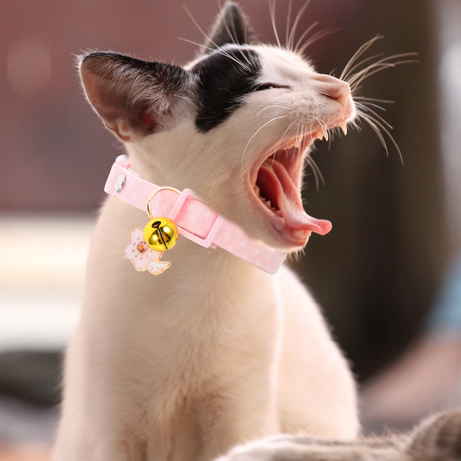 2Pcs Cat Collars Kitten Adjustable Cotton Polyester Bells for Cats Boys Lightweight Training Pet Accessories Christmas
2Pcs Cat Collars Kitten Adjustable Cotton Polyester Bells for Cats Boys Lightweight Training Pet Accessories Christmas