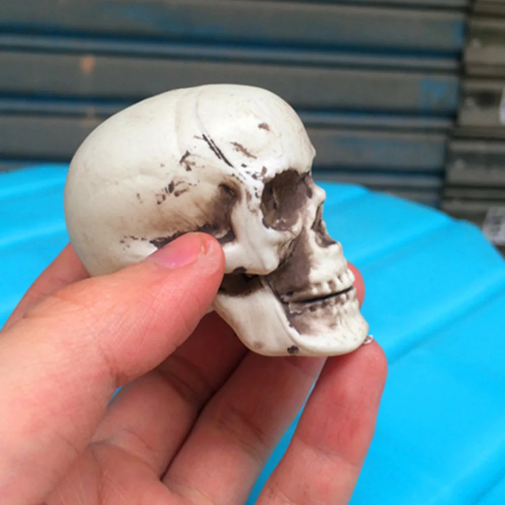 8pcs Skull Crafts Mini Head Halloween Decor Spooky Props Party Supplies Plastic Small Skulls For Haunted House Indoor
8pcs Skull Crafts Mini Head Halloween Decor Spooky Props Party Supplies Plastic Small Skulls For Haunted House Indoor