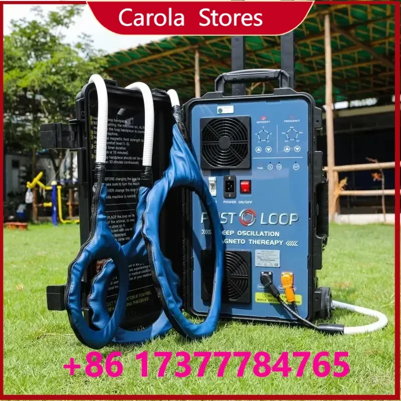 2025 New PMST Loop Therapy Machine Portable Pulsed Electromagnetic Field Device for Horse Pain Relief
2025 New PMST Loop Therapy Machine Portable Pulsed Electromagnetic Field Device for Horse Pain Relief