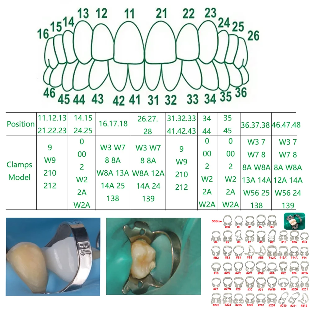 1Pcs Dental Rubber Dam Clamps Stainless Steel Endodontic Restorative Barrier Clips Dentistry Accessory
1Pcs Dental Rubber Dam Clamps Stainless Steel Endodontic Restorative Barrier Clips Dentistry Accessory