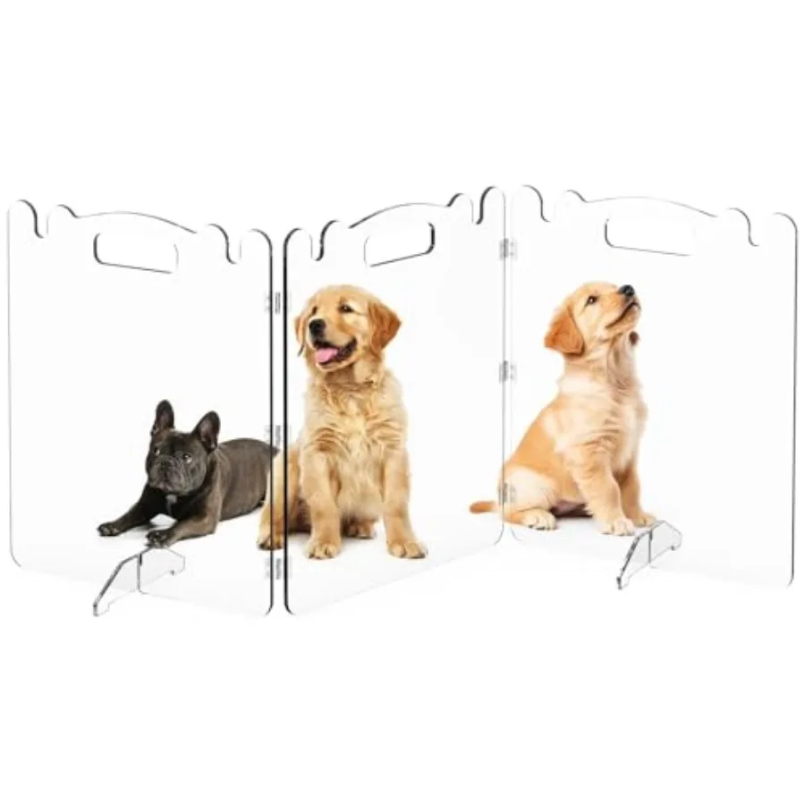 Indoor freestanding folding clear acrylic dog gate for small dogs transparent tall foldable pet barrier for doorways and room d
Indoor freestanding folding clear acrylic dog gate for small dogs transparent tall foldable pet barrier for doorways and room d