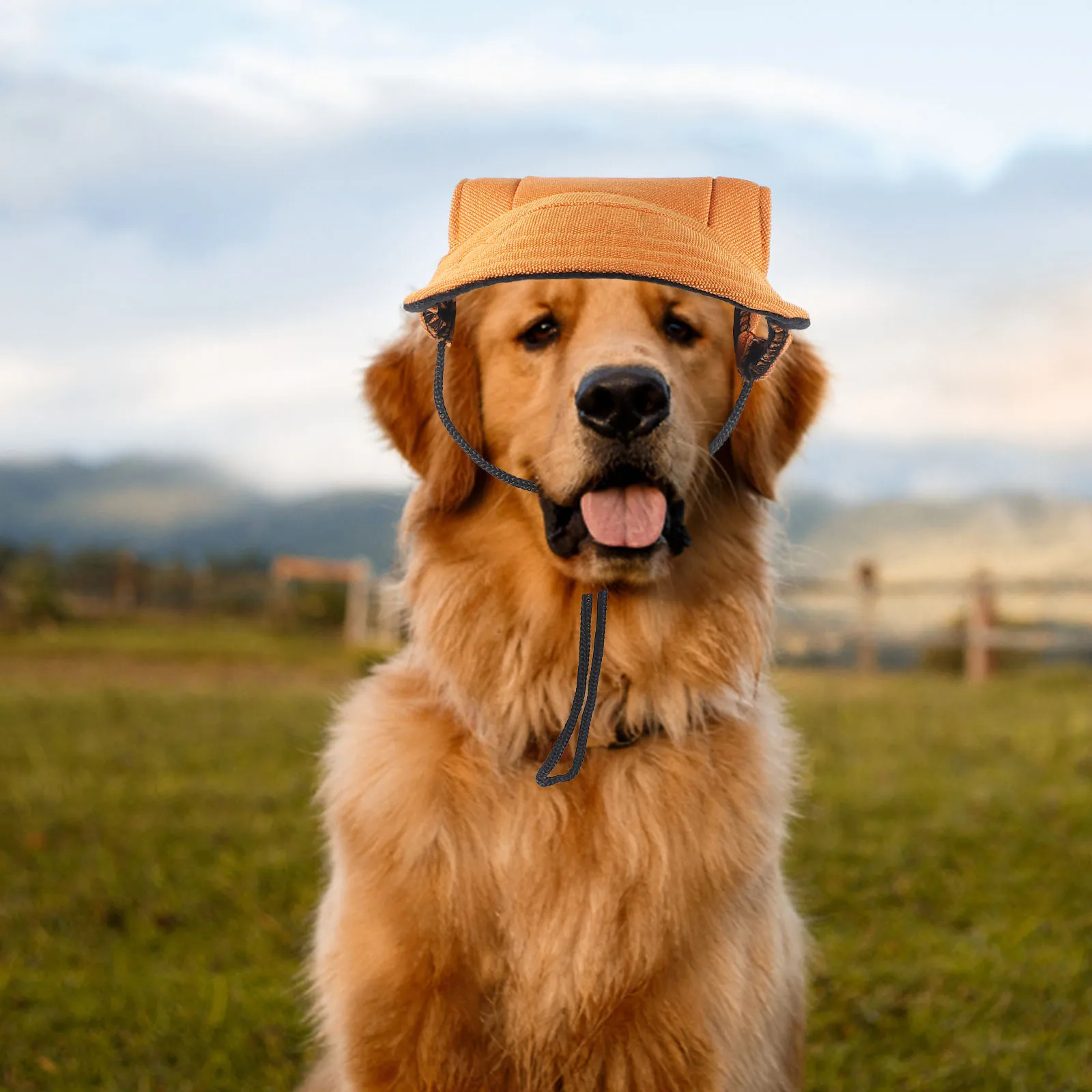 Dog Baseball Cap Hats for Small Dogs Decorative Canvas Lightweight Comfortable Festivals Adorable Sun Hat Ear Holes
Dog Baseball Cap Hats for Small Dogs Decorative Canvas Lightweight Comfortable Festivals Adorable Sun Hat Ear Holes