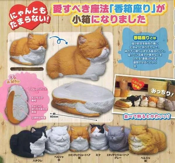 Фигурки кошек Sleepy Cat Gashapon: кремовые, оранжевые, черные, калико, персидские, в позе для сна и отдыха, настольные украшения для любителей кошек и коллекционеров
Фигурки кошек Sleepy Cat Gashapon: кремовые, оранжевые, черные, калико, персидские, в позе для сна и отдыха, настольные украшения для любителей кошек и коллекционеров