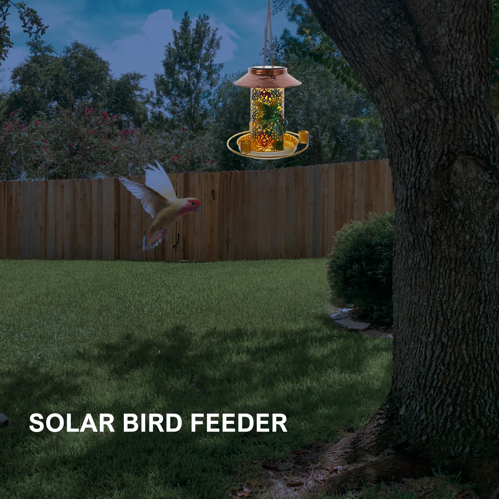 Iron Solar Bird Feeder Tray Outdoor Hanging Attracts Birds Garden Lantern Light LED Night Pet Supplies
Iron Solar Bird Feeder Tray Outdoor Hanging Attracts Birds Garden Lantern Light LED Night Pet Supplies