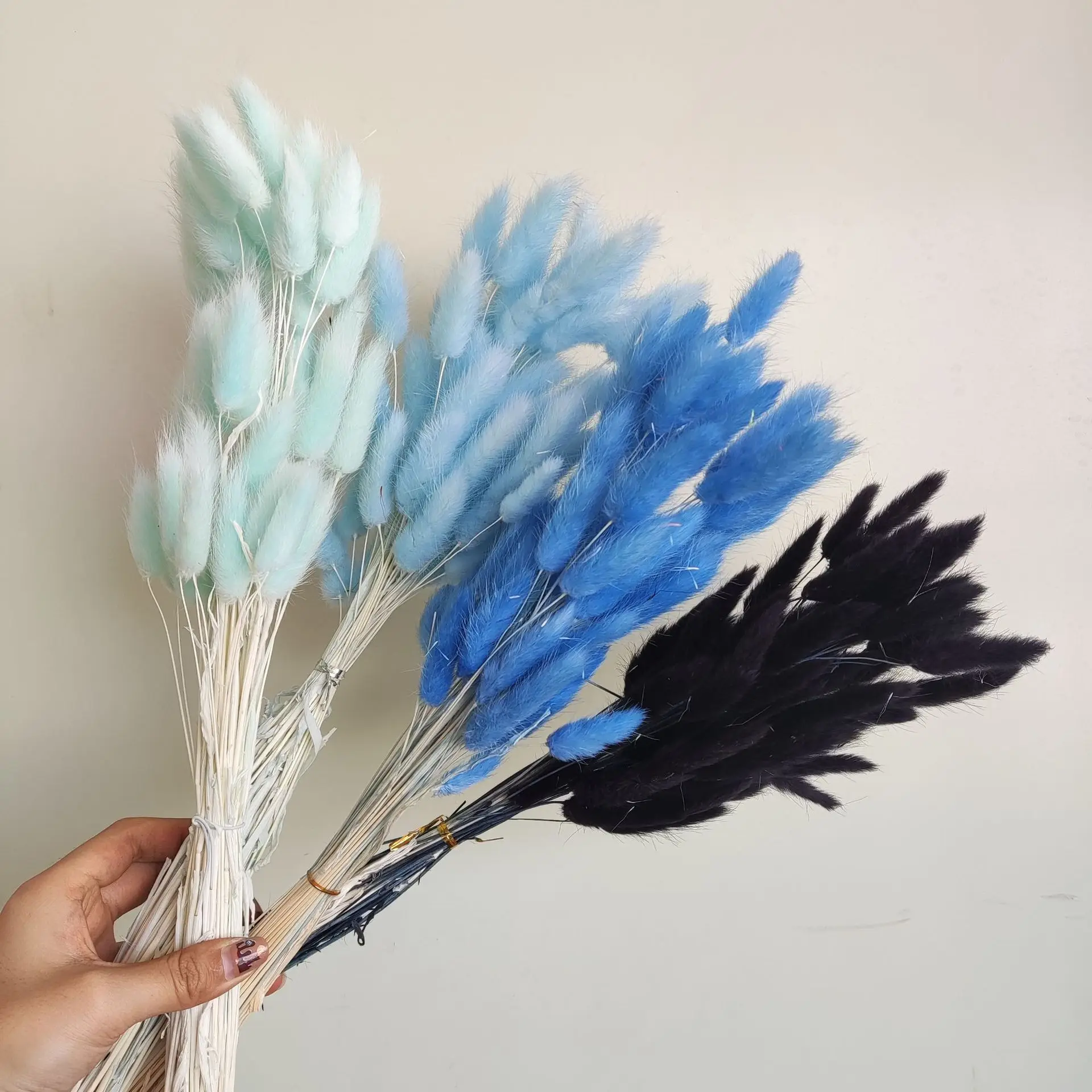 Natural Dried Flowers Lagurus Ovatus Rabbit Bunny Tail Grass 100pcs Real Flower Bouquet Pampas Grass for Home Wedding Decoration
Natural Dried Flowers Lagurus Ovatus Rabbit Bunny Tail Grass 100pcs Real Flower Bouquet Pampas Grass for Home Wedding Decoration