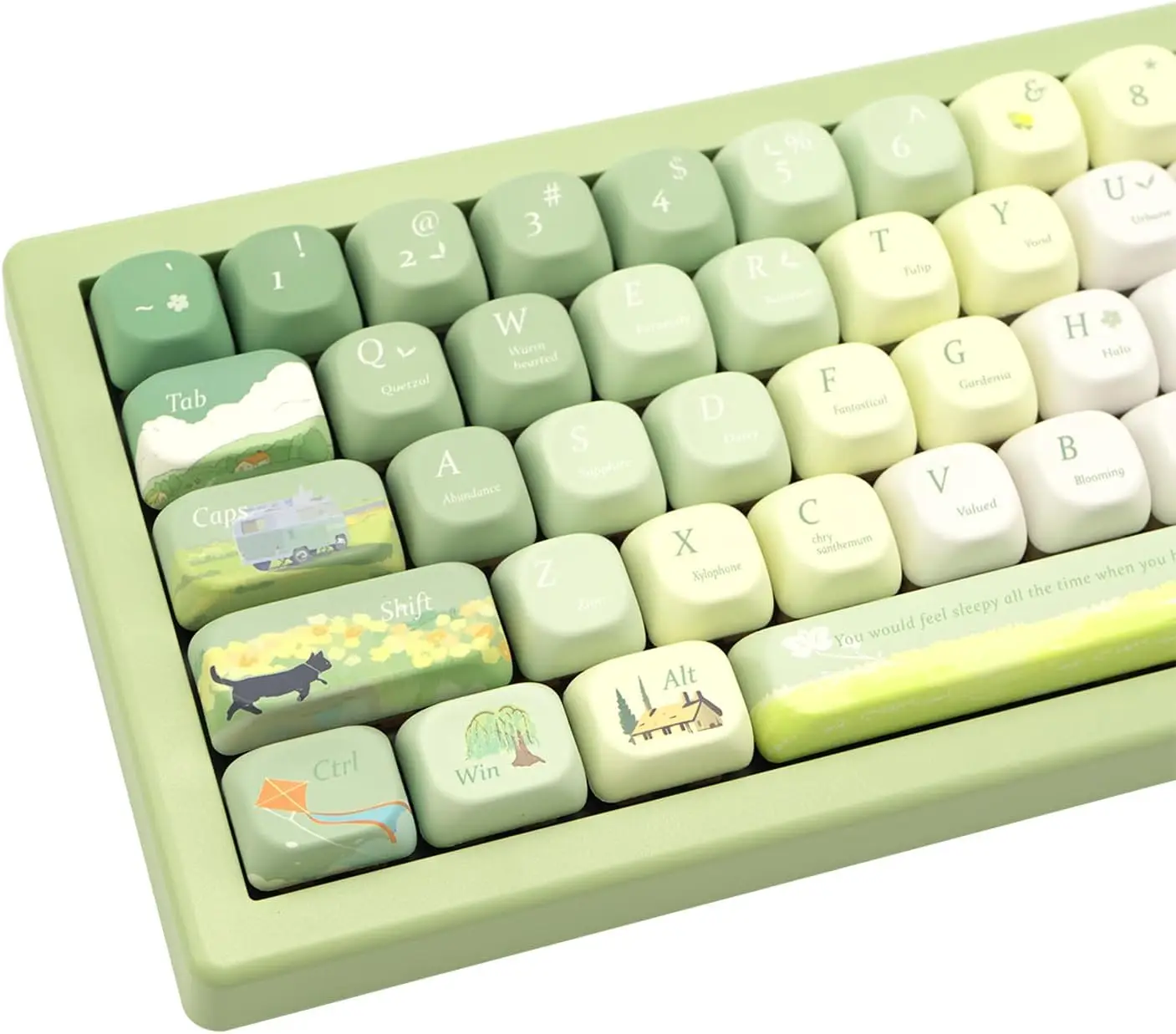 PBT Keycaps 132 Keys Spring Theme Green Dye-Sublimation Cute Keycaps Set for Cherry Gateron MX Switches Mechanical Keyboards
PBT Keycaps 132 Keys Spring Theme Green Dye-Sublimation Cute Keycaps Set for Cherry Gateron MX Switches Mechanical Keyboards