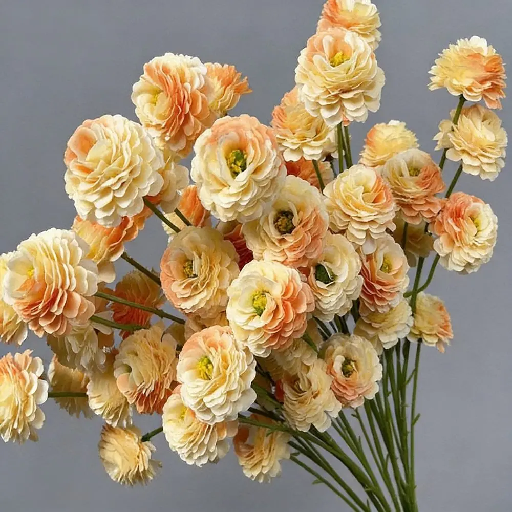 6 Heads Artificial Peony Flower Silk Floral Arrangement Fake Flowers Realistic Multicolor Ranunculus Flower Bouquet
6 Heads Artificial Peony Flower Silk Floral Arrangement Fake Flowers Realistic Multicolor Ranunculus Flower Bouquet
