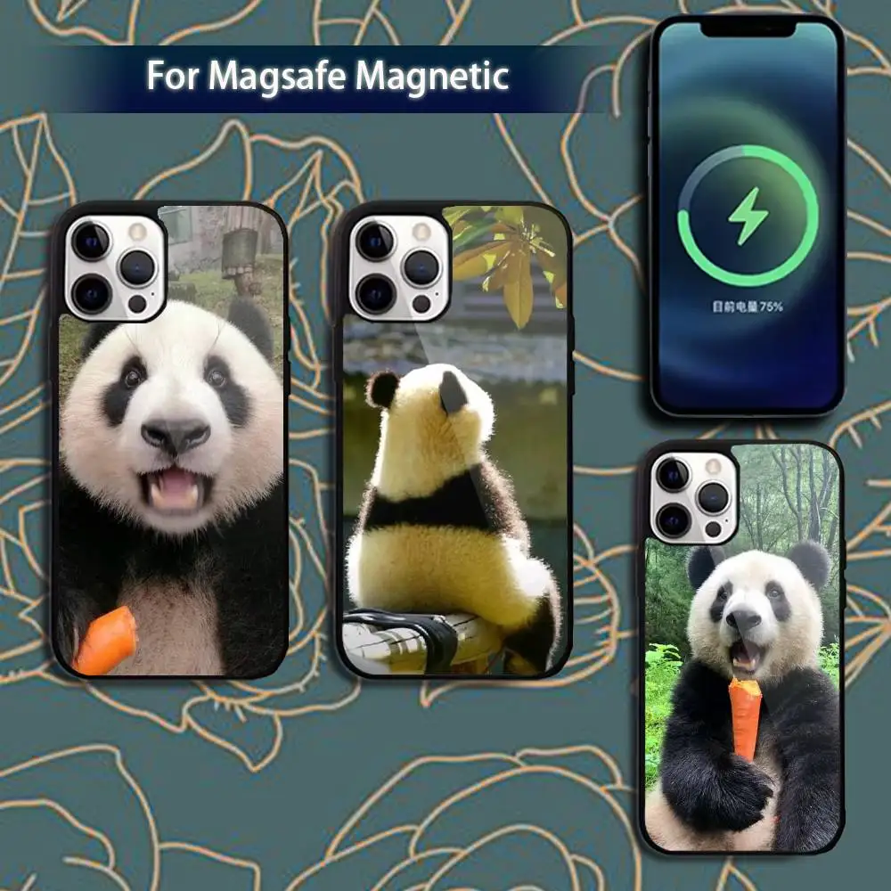 Funny F-Fubao P-Panda Phone Case For iPhone 17,16,15,14,13,12,11,Pro,Max,Plus,Mini,Magsafe,Magnetic Wireless Charging Case
Funny F-Fubao P-Panda Phone Case For iPhone 17,16,15,14,13,12,11,Pro,Max,Plus,Mini,Magsafe,Magnetic Wireless Charging Case