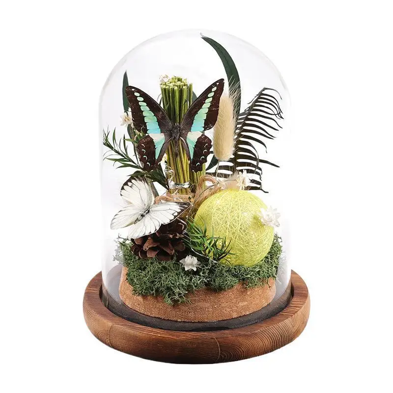 Butterfly element gift specimen glass cover dried flower real flower night light ornament birthday gift for boyfriend and girlfr
Butterfly element gift specimen glass cover dried flower real flower night light ornament birthday gift for boyfriend and girlfr