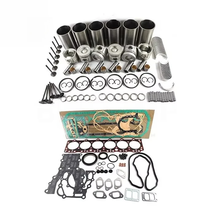 4HK1 6HK1 6BG1 4BG1 6BD1 4BD1 4JJ1 4JG1 4LE2 C240 6SD1 6WG1 6RB1 Engine Rebuild Kit for ISUZU
4HK1 6HK1 6BG1 4BG1 6BD1 4BD1 4JJ1 4JG1 4LE2 C240 6SD1 6WG1 6RB1 Engine Rebuild Kit for ISUZU