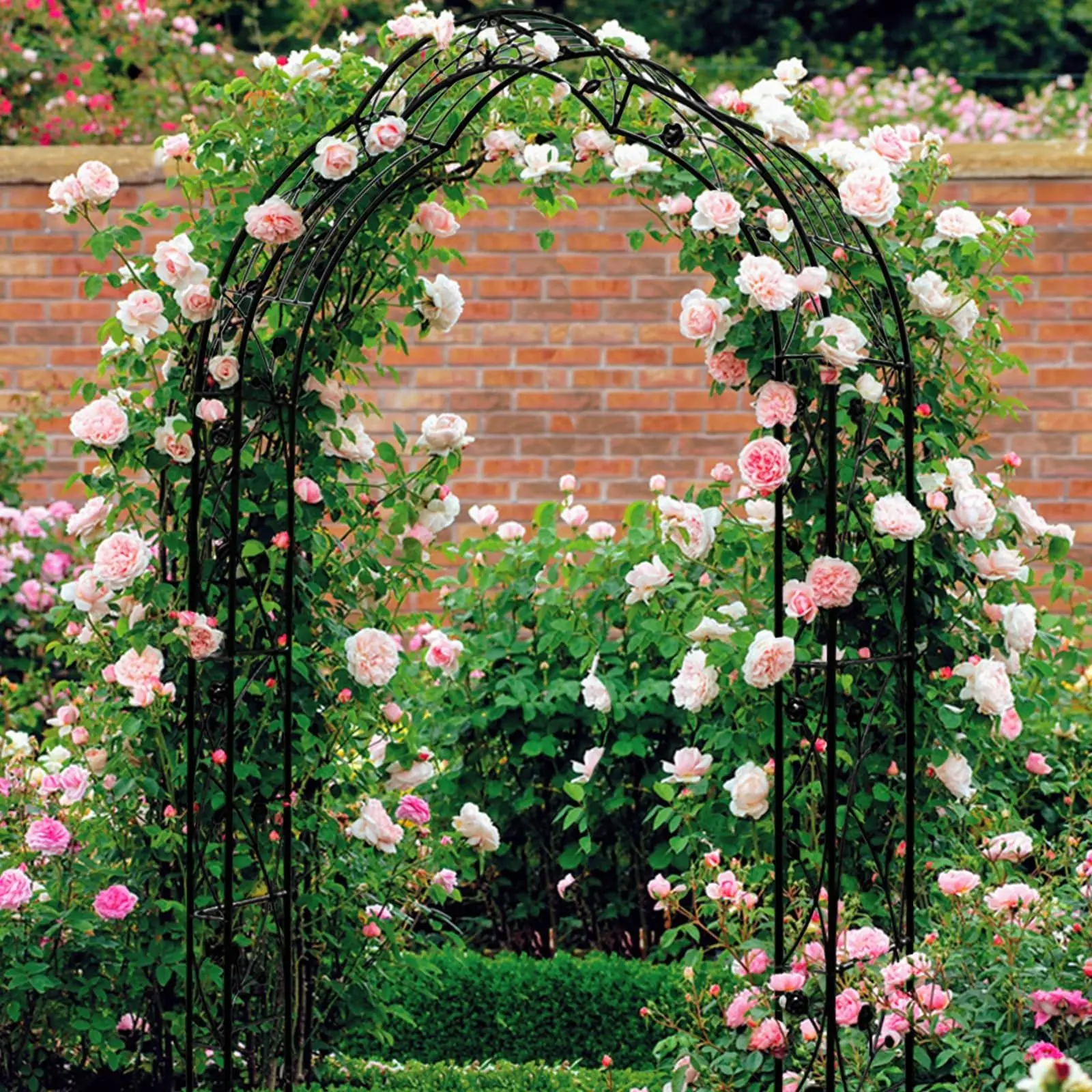 Metal Garden Arch Garden Arbor Trellis Climbing Plants Support Rose Arch Black
Metal Garden Arch Garden Arbor Trellis Climbing Plants Support Rose Arch Black