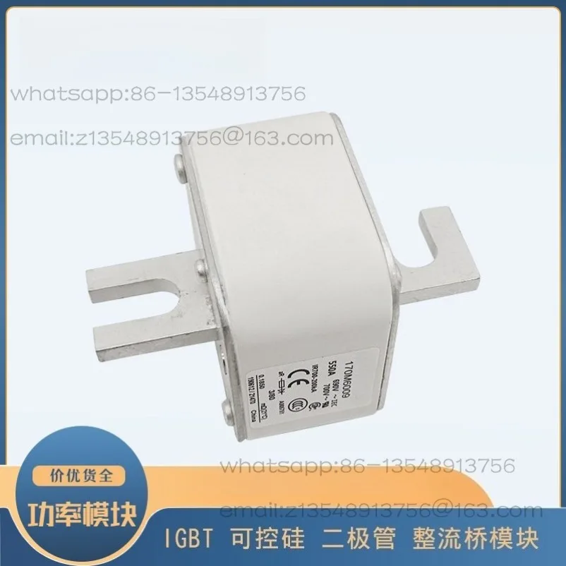 170M6009/6010/6011/6012/6013/6014/6015/6016 Fast Fuse Fuse
170M6009/6010/6011/6012/6013/6014/6015/6016 Fast Fuse Fuse