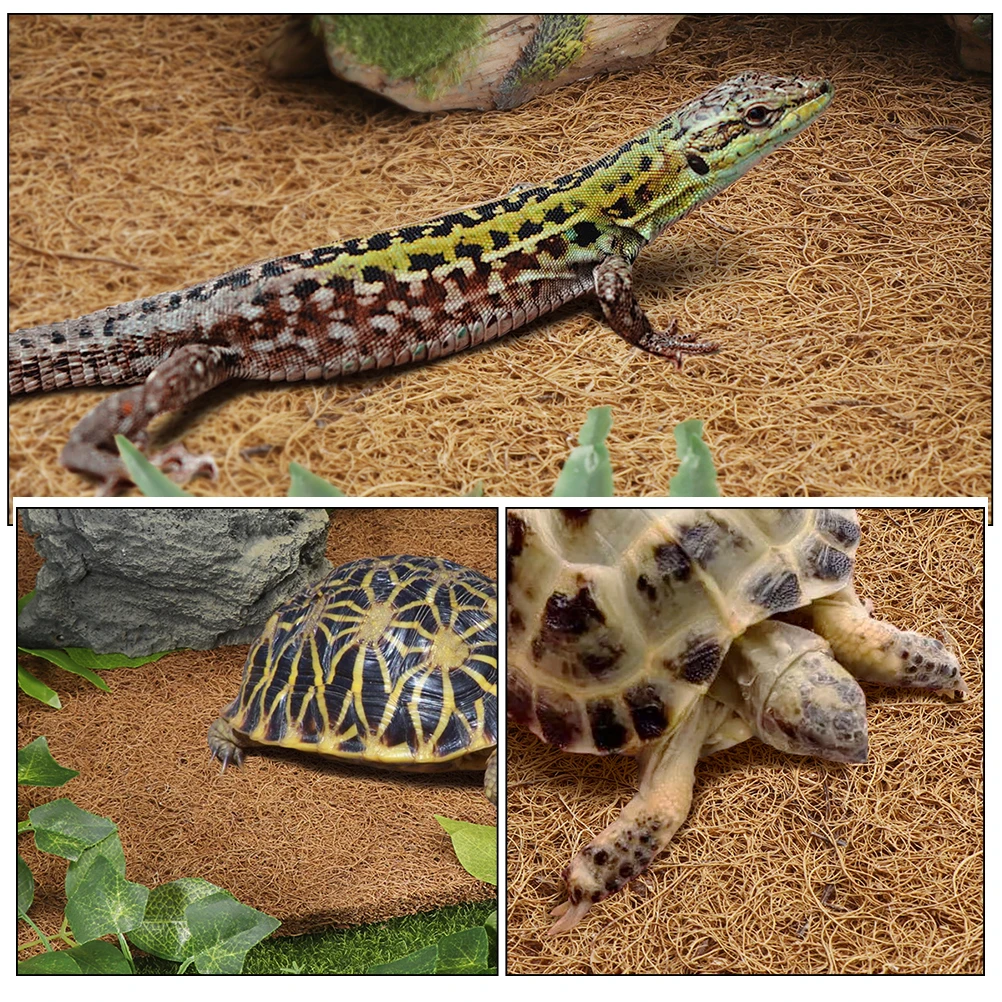 Natural Coconut Fiber Carpet Mat Substrate Liner For Lizards Snakes Turtles Cage Accessories Bedding Pad Terrarium Supplies 
Natural Coconut Fiber Carpet Mat Substrate Liner For Lizards Snakes Turtles Cage Accessories Bedding Pad Terrarium Supplies