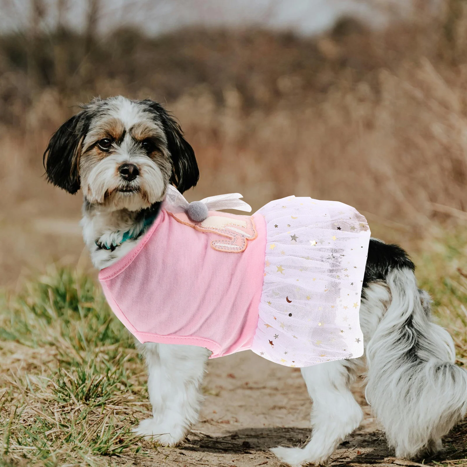 Cute Pet Dog Lace Dress Fashion Autumn Outdoor Party Photoshoot Durable Lightweight Skirt Dog Clothes Travel
Cute Pet Dog Lace Dress Fashion Autumn Outdoor Party Photoshoot Durable Lightweight Skirt Dog Clothes Travel