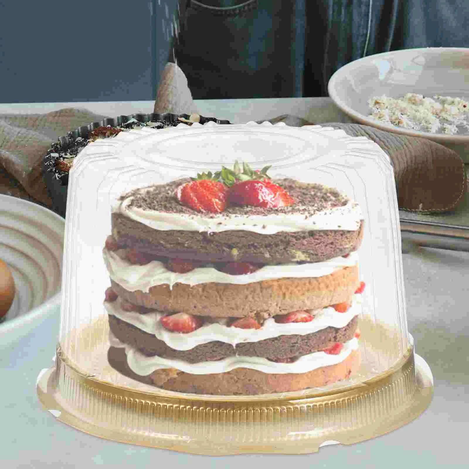10 Pcs Cake Box Boxes and Packaging for Cakes Carrier Containers Plastic with Lids Slice Dessert Travel
10 Pcs Cake Box Boxes and Packaging for Cakes Carrier Containers Plastic with Lids Slice Dessert Travel