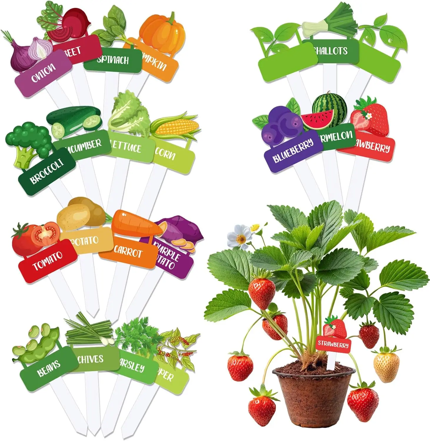 Acrylic Vegetable Plant Label Signs 22Pcs Funny Cartoon Garden Markers Waterproof Potted Plant Stake Tags with Names for Nursery
Acrylic Vegetable Plant Label Signs 22Pcs Funny Cartoon Garden Markers Waterproof Potted Plant Stake Tags with Names for Nursery