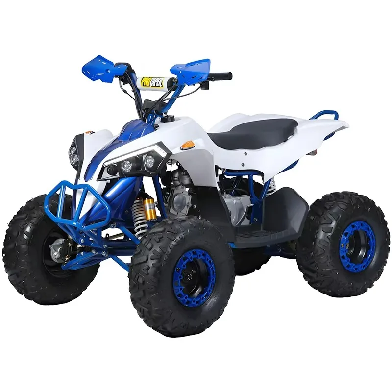 250 куб.см квадроцикл 2-тактный двигатель мини квадроцикл пляжный багги для детей
250 куб.см квадроцикл 2-тактный двигатель мини квадроцикл пляжный багги для детей
