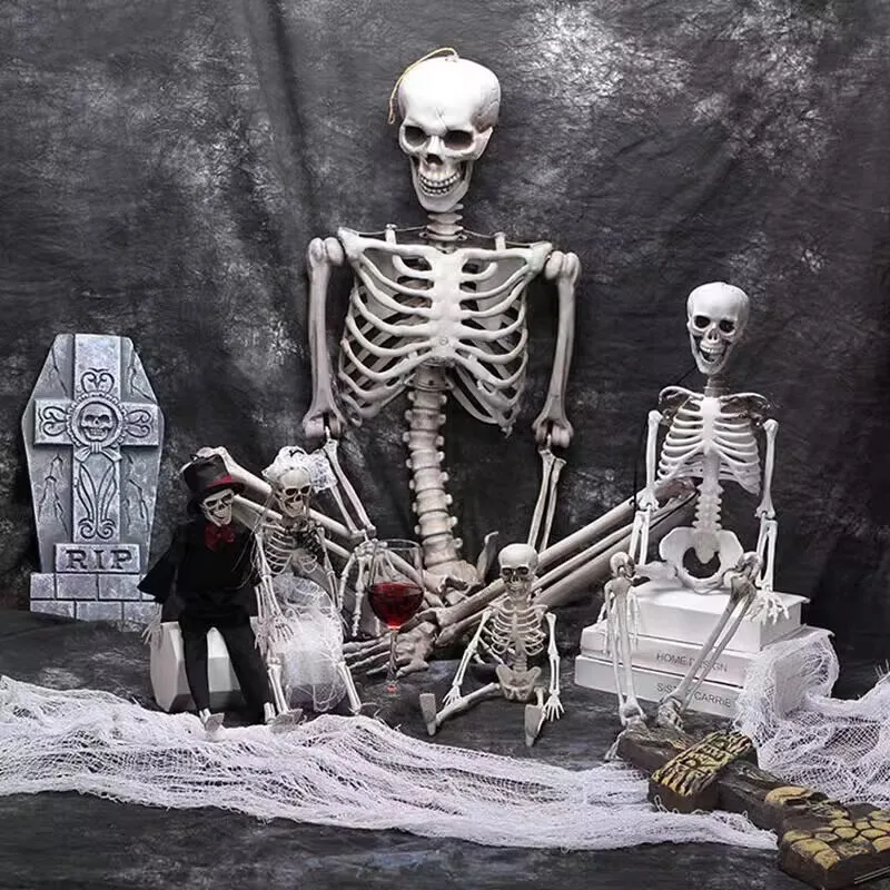 Life-Size Halloween Skeleton Prop with Posable Joints Realistic Human Body Bones Simulation Skull Haunted House Horror Ornament
Life-Size Halloween Skeleton Prop with Posable Joints Realistic Human Body Bones Simulation Skull Haunted House Horror Ornament