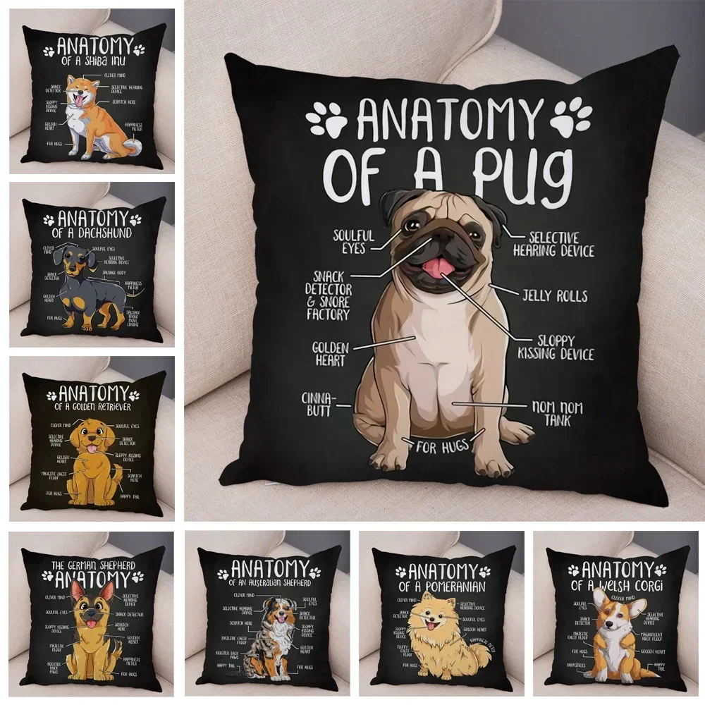 Cute Anatomy Dog Corgi Bulldog Cushion Cover Decor Cartoon Pet Animal Pillow Case for Sofa Home Both Sided Soft Plush Pillowcase
Cute Anatomy Dog Corgi Bulldog Cushion Cover Decor Cartoon Pet Animal Pillow Case for Sofa Home Both Sided Soft Plush Pillowcase