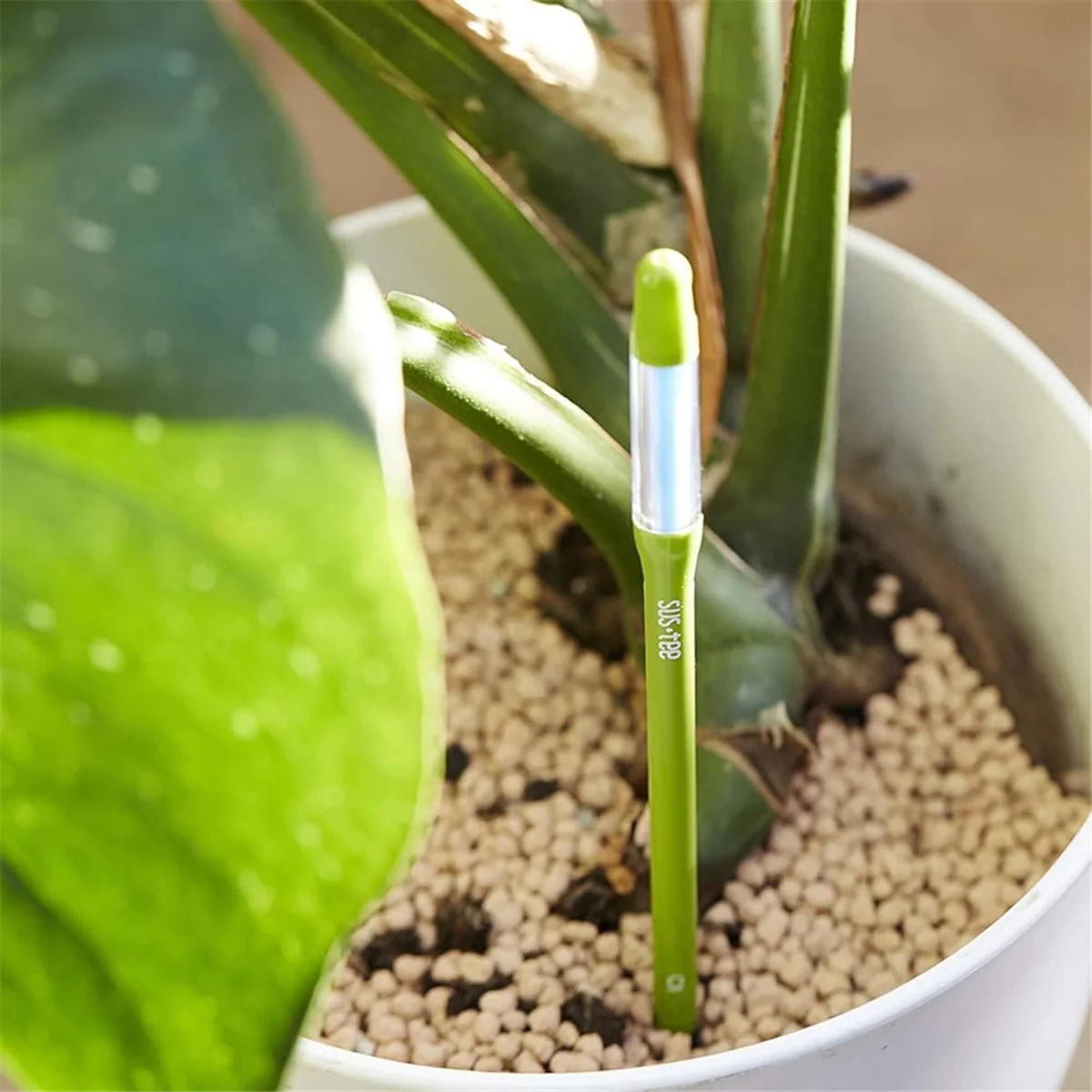 A002 Aquameter,5pcs, Plant Soil Moisture Sensor,House Plant Soil Moisture Meter, Best for Indoor Potted Plants (Large)
A002 Aquameter,5pcs, Plant Soil Moisture Sensor,House Plant Soil Moisture Meter, Best for Indoor Potted Plants (Large)