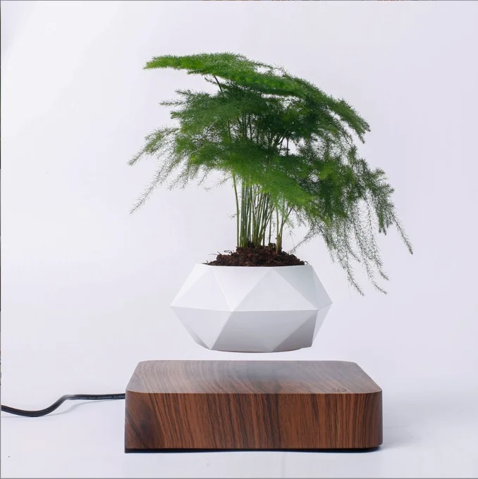 Magnetic Levitation Flower Pot Rotating Planters Suspension Floating Plant for Home Office Desk Decoration
Magnetic Levitation Flower Pot Rotating Planters Suspension Floating Plant for Home Office Desk Decoration