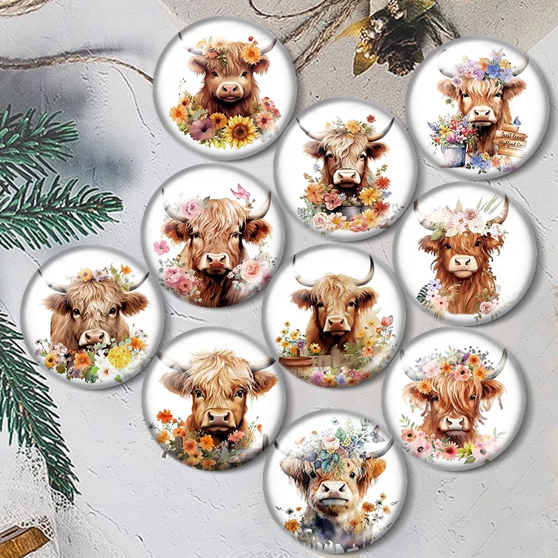 Highland Cow 12/18/20/25mm glass cabochon bracelet pendant rings for jewelry demo earrings back Making findings
Highland Cow 12/18/20/25mm glass cabochon bracelet pendant rings for jewelry demo earrings back Making findings