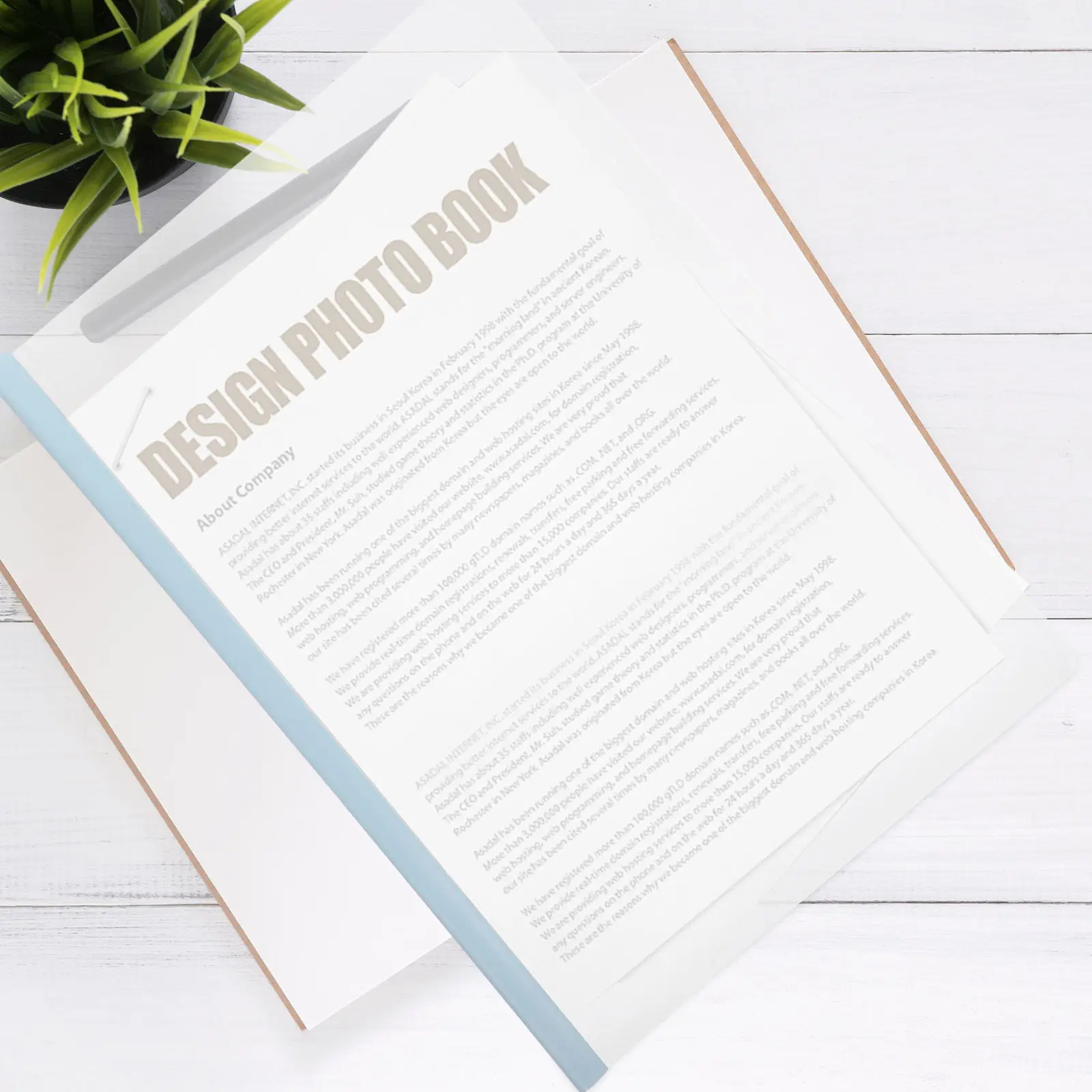 Набор из 10 прочных водонепроницаемых папок для документов с зажимом-фиксатором для офиса, школы, художников, надежная фиксация, пластиковый слайдер
Набор из 10 прочных водонепроницаемых папок для документов с зажимом-фиксатором для офиса, школы, художников, надежная фиксация, пластиковый слайдер