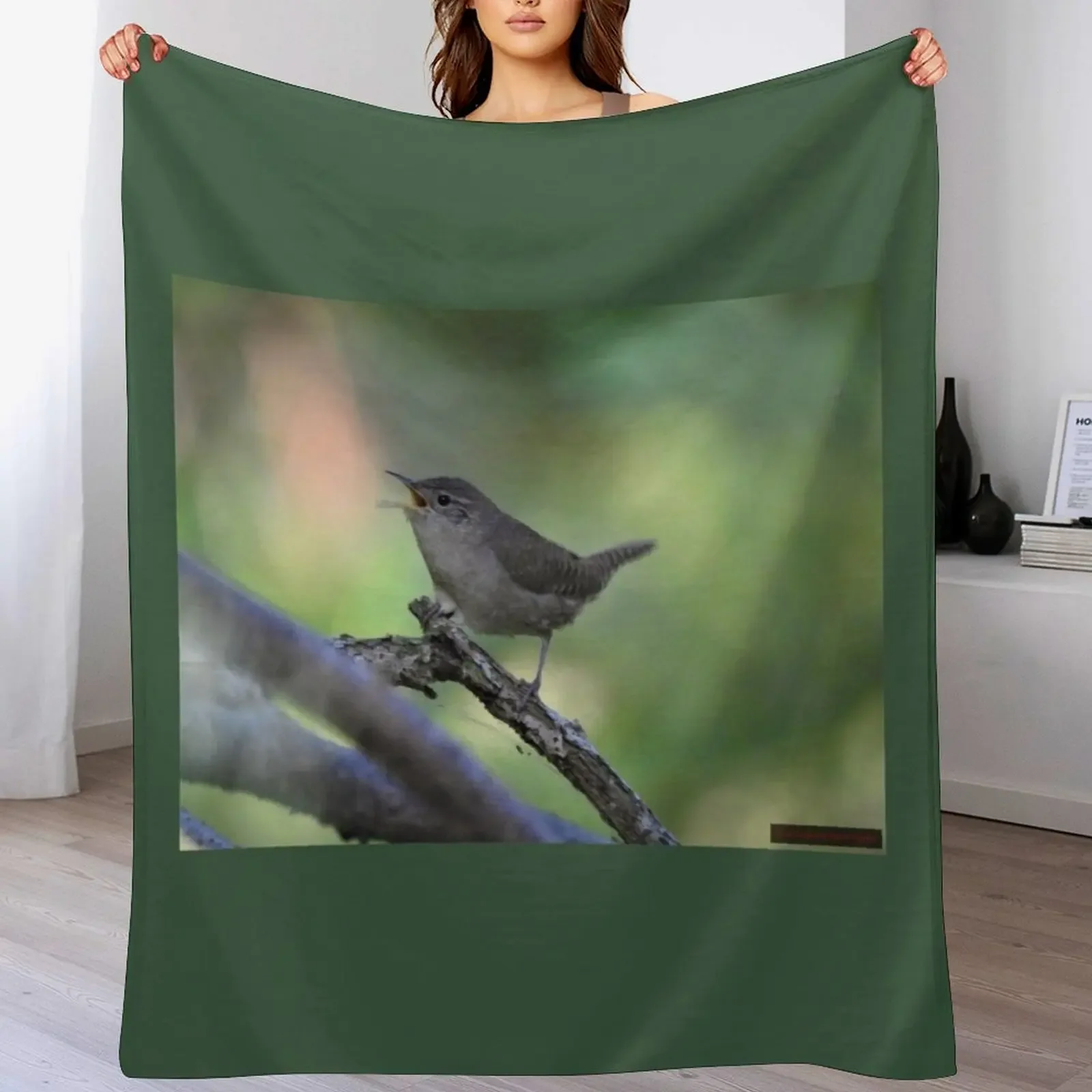 House Wren Throw Blanket Luxurious Soft Blanket Holiday Gift for Family
House Wren Throw Blanket Luxurious Soft Blanket Holiday Gift for Family
