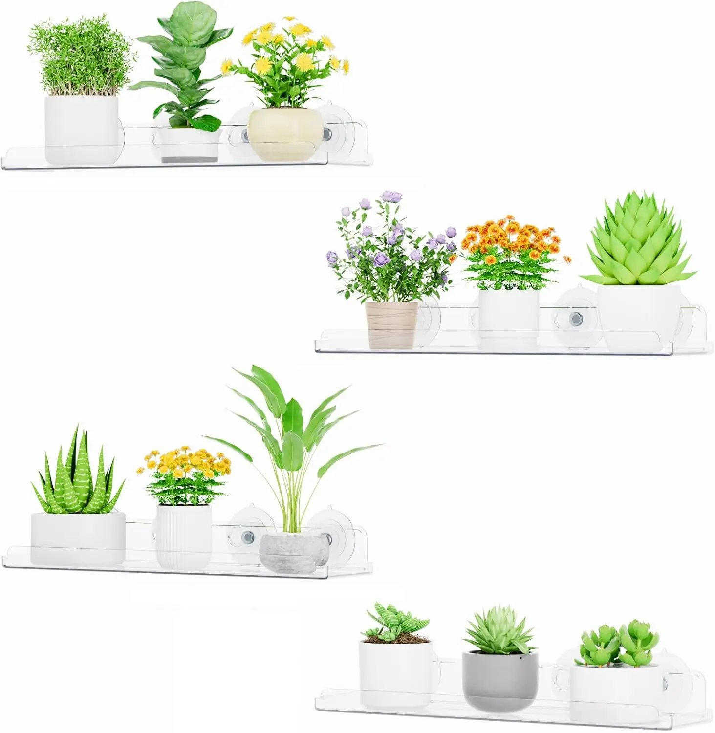 15x4 Inch Acrylic Suction Cup Floating Shelves, 4 Pack for Indoor Plants, Succulents, Herb Planters
15x4 Inch Acrylic Suction Cup Floating Shelves, 4 Pack for Indoor Plants, Succulents, Herb Planters