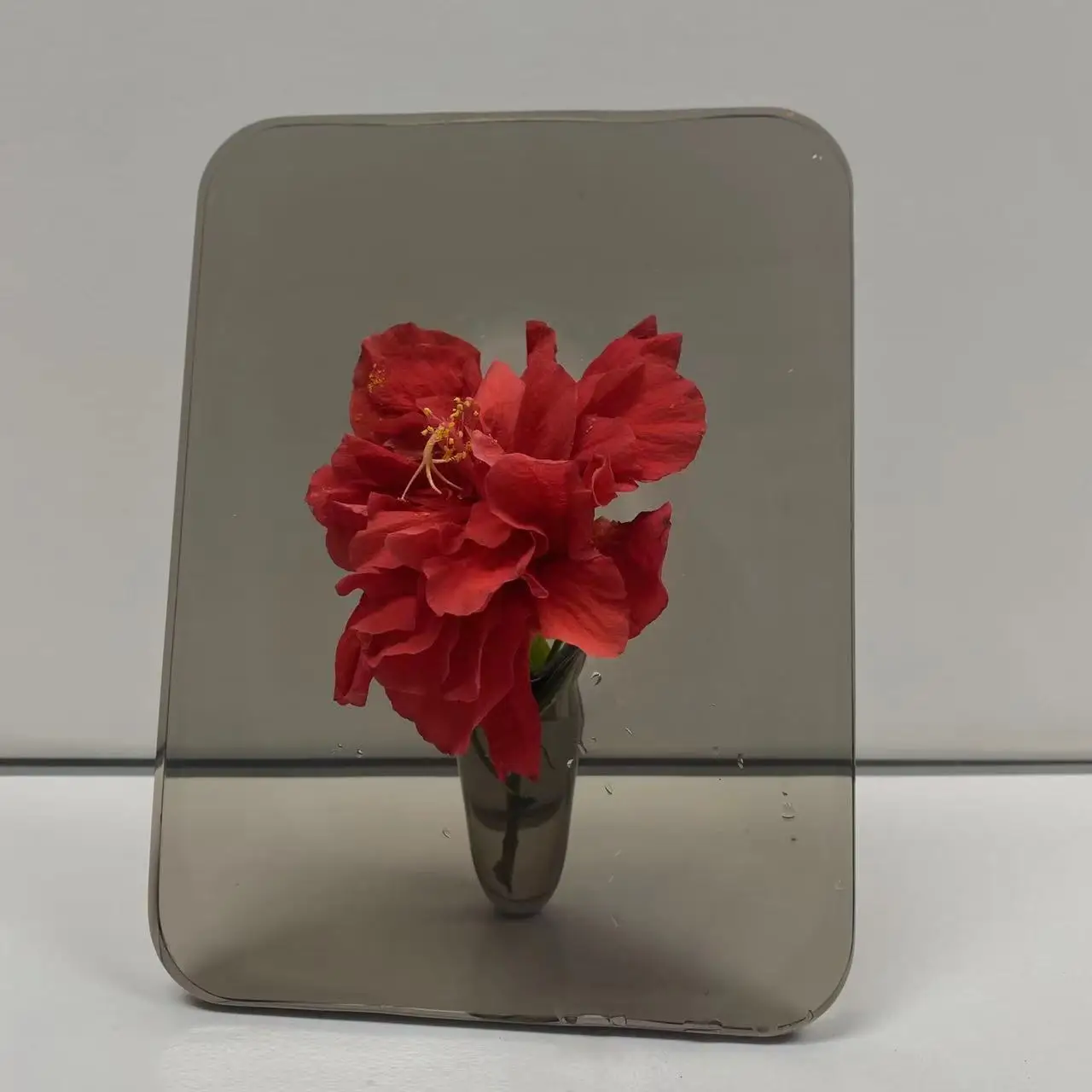 Creative Acrylic Transparent Glass Photo Frame Vase Ins Bedroom Living Room Decorative Dried Flowers Flowers Hydroponic Vase
Creative Acrylic Transparent Glass Photo Frame Vase Ins Bedroom Living Room Decorative Dried Flowers Flowers Hydroponic Vase