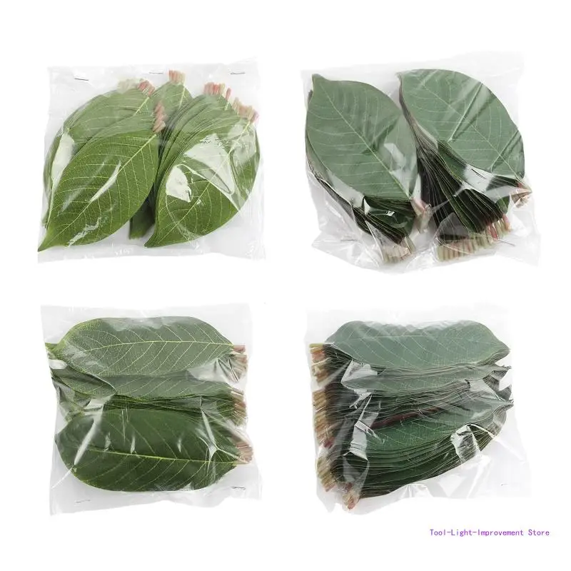 C63E Retro Leaves Artificial Flower Leaf Plants Fake Flower DIY Scrapbooking Craft
C63E Retro Leaves Artificial Flower Leaf Plants Fake Flower DIY Scrapbooking Craft