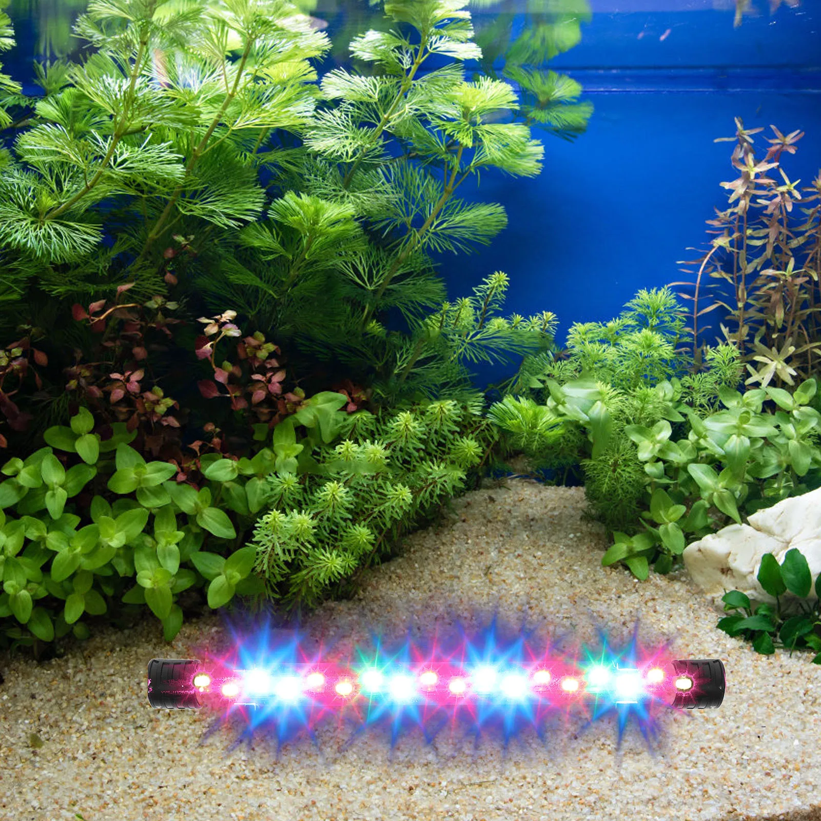 Aquarium LED Light Fish Tank Illumination Submersible Design for Brightness Enhancement Natural Beauty Vivid Fish Display
Aquarium LED Light Fish Tank Illumination Submersible Design for Brightness Enhancement Natural Beauty Vivid Fish Display
