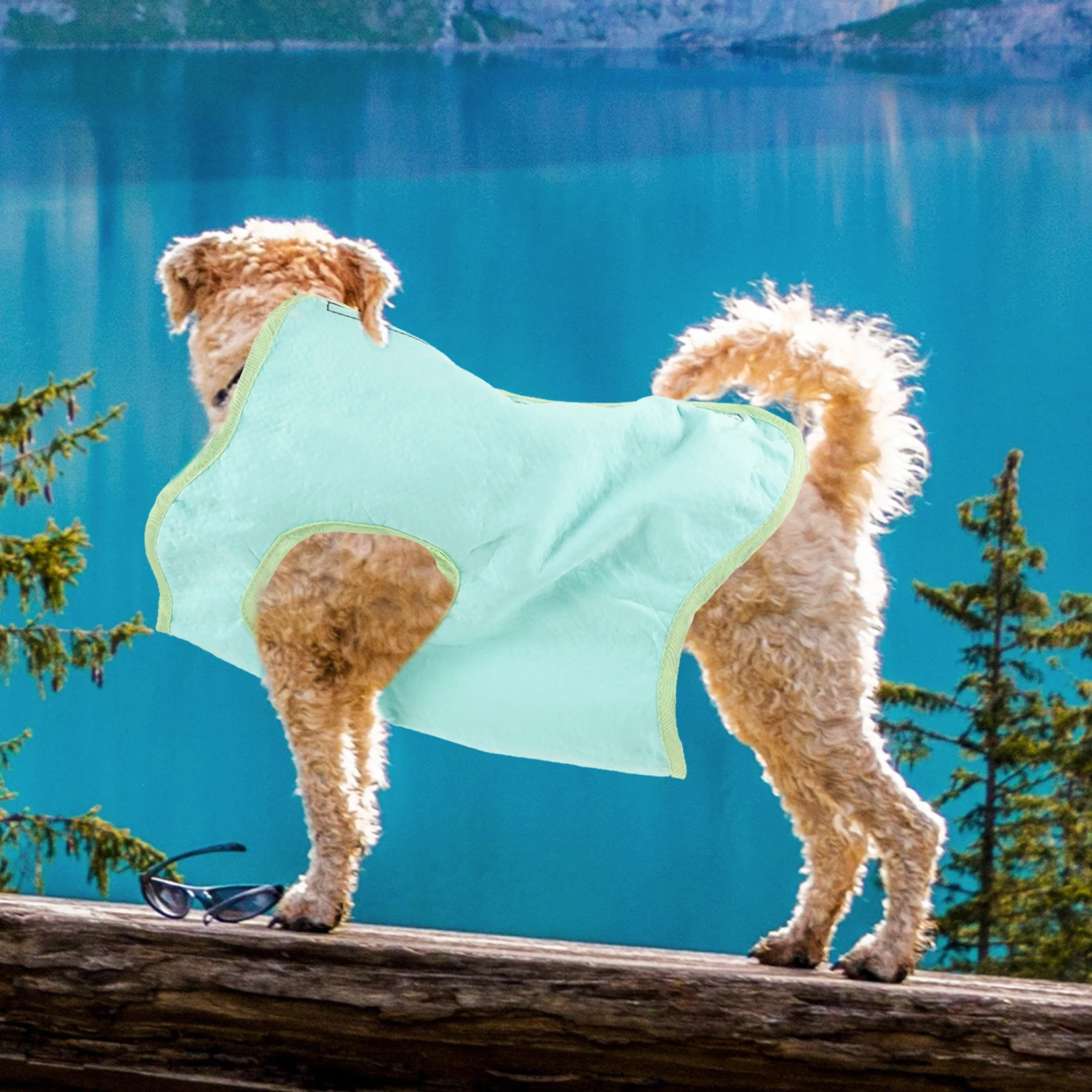 Pet Cooling Vest Dog Clothes Breathable Puppy Outdoor Decorative Vest for Small Dogs PVA Material Sweet Fashionable
Pet Cooling Vest Dog Clothes Breathable Puppy Outdoor Decorative Vest for Small Dogs PVA Material Sweet Fashionable