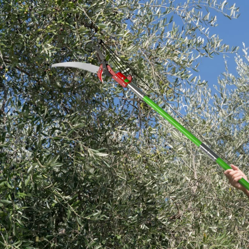 24ft Manual Pole Saw, Lightweight Tree Trimmers Long Handle Pruner Set, Sharp Steel Blade and Scissors Pole Saw for Trimming Pal
24ft Manual Pole Saw, Lightweight Tree Trimmers Long Handle Pruner Set, Sharp Steel Blade and Scissors Pole Saw for Trimming Pal