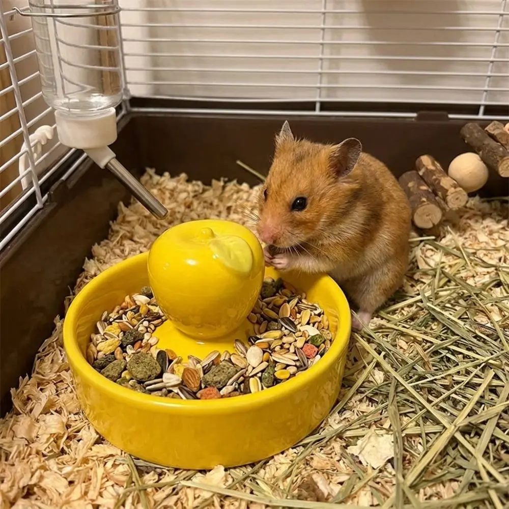 Anti-Rollover Ceramic Pet Feeding Bowl Bite Resistant Non-Slip Hamster Water Bowl Smooth Glaze Fruit Shape Reptile Food Tray
Anti-Rollover Ceramic Pet Feeding Bowl Bite Resistant Non-Slip Hamster Water Bowl Smooth Glaze Fruit Shape Reptile Food Tray