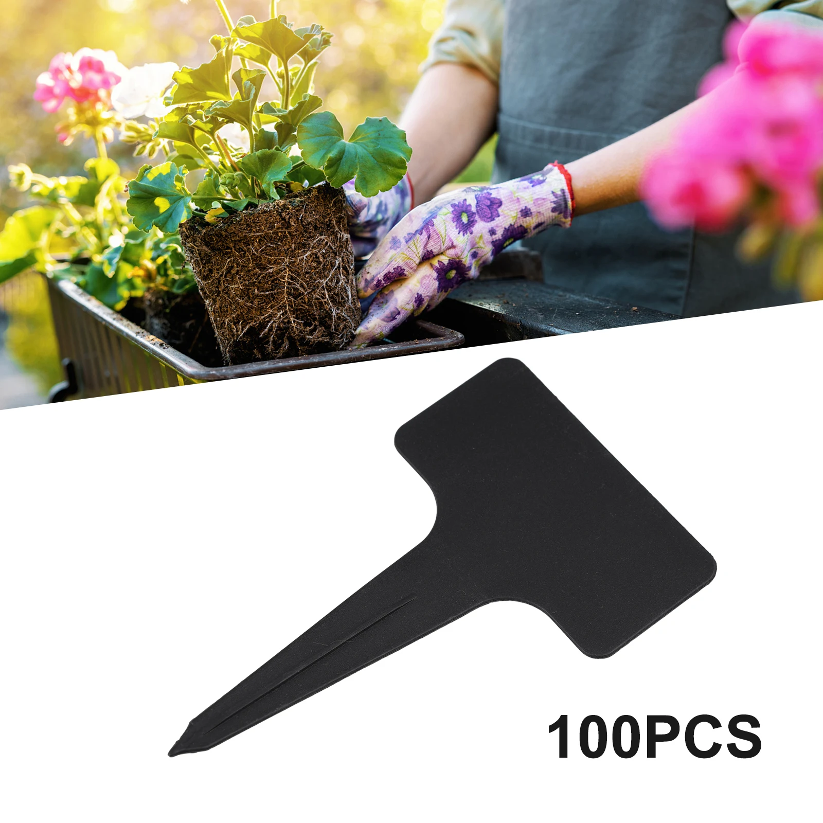 100PCS Plastic Plant Tags Garden Labels Gardening Plant Classification Sorting Sign Tag Garden Labels Plaques For Plants Sign
100PCS Plastic Plant Tags Garden Labels Gardening Plant Classification Sorting Sign Tag Garden Labels Plaques For Plants Sign