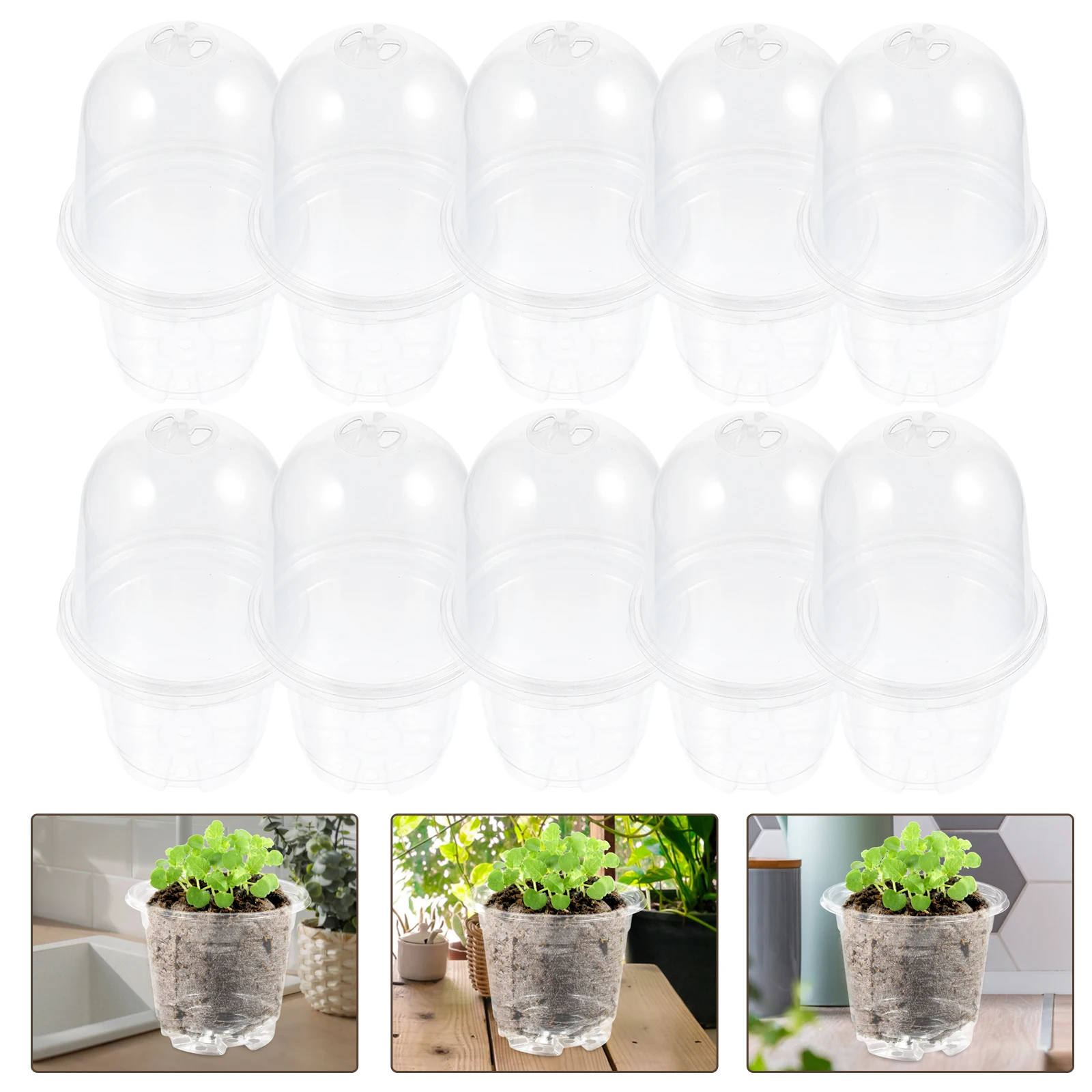 15 Pcs Hydroponics Nursery Pots Small Transparent Plastic Flower Planter Seedling Succulent Outdoor Plants Drainage Holes
15 Pcs Hydroponics Nursery Pots Small Transparent Plastic Flower Planter Seedling Succulent Outdoor Plants Drainage Holes
