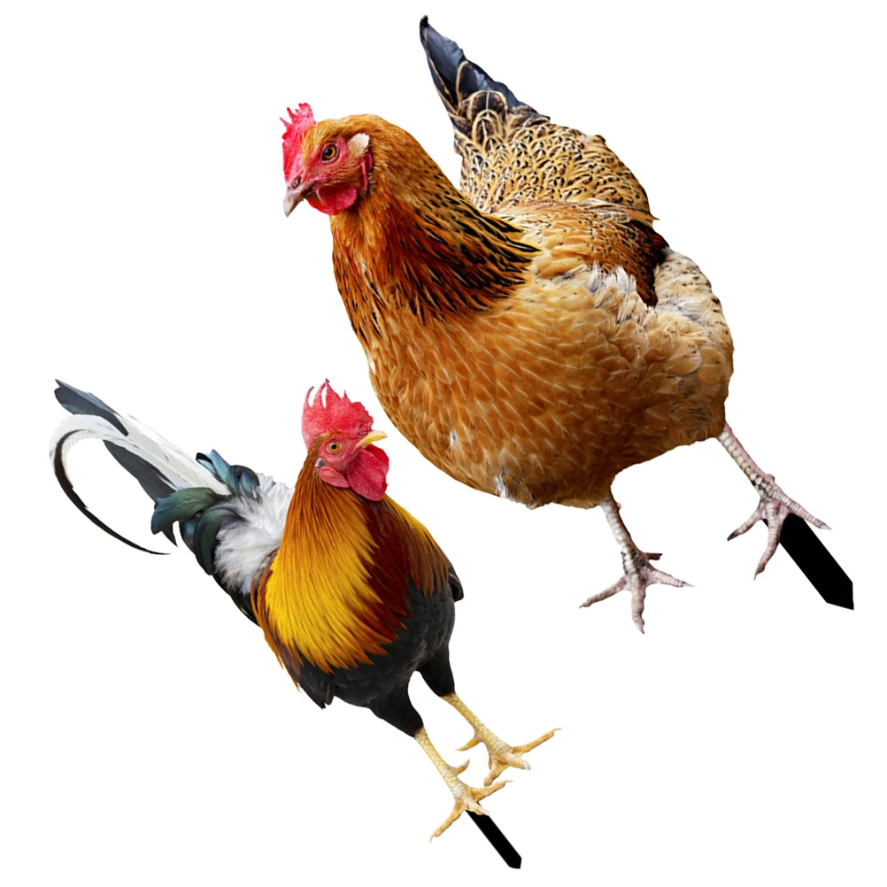 2 Pcs Sided Acrylic Garden Chicken Stake Decorative Insert Yard Garden Ornament Lawn Ornament Outdoor Stakes
2 Pcs Sided Acrylic Garden Chicken Stake Decorative Insert Yard Garden Ornament Lawn Ornament Outdoor Stakes