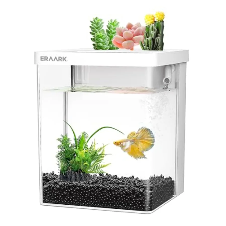 Small Fish Tank Aquarium kit 1.5 Gallon Betta Fish Tank with Silent Water Pump Filter LED LightFish Bowl White
Small Fish Tank Aquarium kit 1.5 Gallon Betta Fish Tank with Silent Water Pump Filter LED LightFish Bowl White