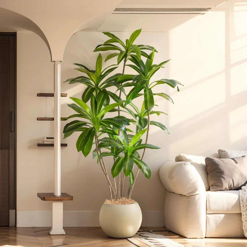 Simulation green plants high-end light luxury Brazilian wood indoor living room decoration floor ornament bionic fake
Simulation green plants high-end light luxury Brazilian wood indoor living room decoration floor ornament bionic fake
