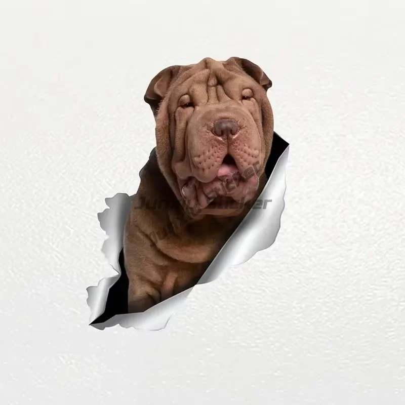 SHAR-PEI Dog Car Sticker Shar Pei Dog Pet Animal Decal Car Accessories Decor
SHAR-PEI Dog Car Sticker Shar Pei Dog Pet Animal Decal Car Accessories Decor